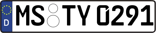 MS-TY0291