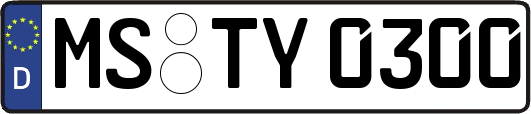 MS-TY0300