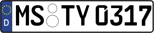 MS-TY0317