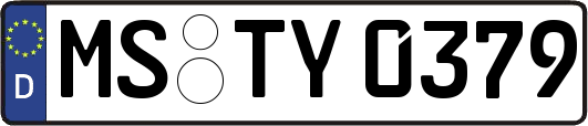 MS-TY0379