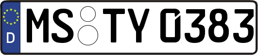 MS-TY0383