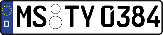 MS-TY0384