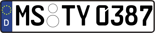 MS-TY0387