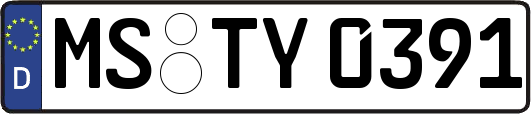 MS-TY0391