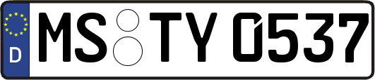 MS-TY0537