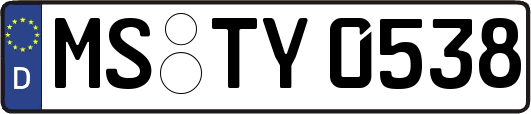 MS-TY0538