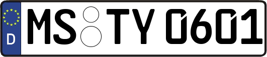 MS-TY0601