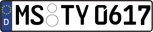 MS-TY0617