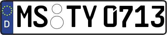 MS-TY0713