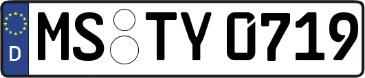 MS-TY0719