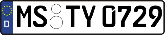MS-TY0729