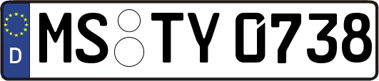 MS-TY0738
