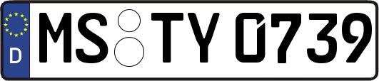 MS-TY0739