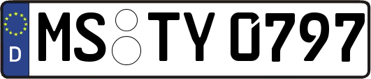MS-TY0797