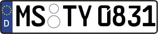 MS-TY0831