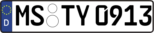 MS-TY0913