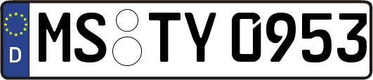 MS-TY0953