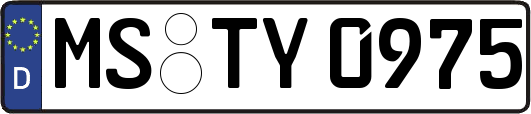 MS-TY0975