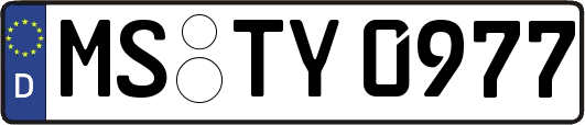 MS-TY0977