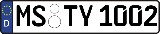 MS-TY1002