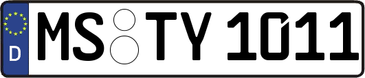 MS-TY1011