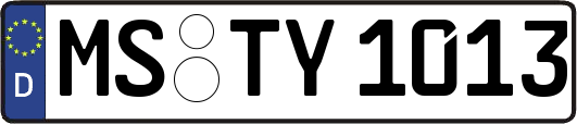 MS-TY1013