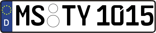 MS-TY1015