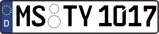 MS-TY1017