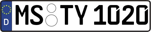 MS-TY1020