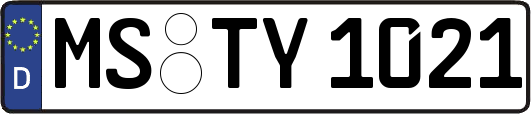 MS-TY1021