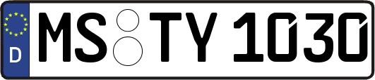 MS-TY1030