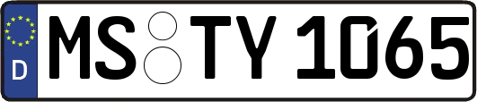 MS-TY1065