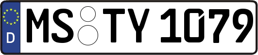 MS-TY1079