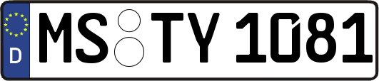 MS-TY1081