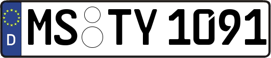 MS-TY1091