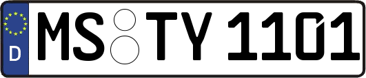 MS-TY1101