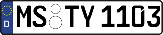 MS-TY1103