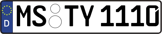 MS-TY1110