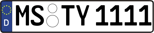 MS-TY1111