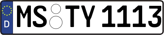 MS-TY1113