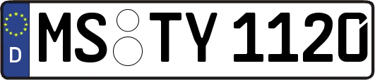 MS-TY1120