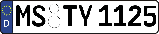 MS-TY1125