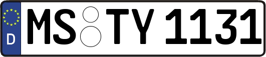 MS-TY1131