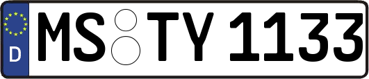 MS-TY1133