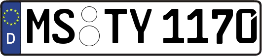 MS-TY1170