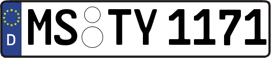 MS-TY1171