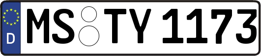 MS-TY1173