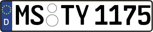 MS-TY1175
