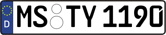 MS-TY1190
