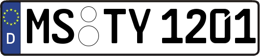 MS-TY1201